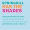Springhill Paper, 8.5X11, Index, Can Pk SGH035100 - alternate 4